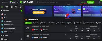 Exploring the World of BC.Game Crypto Casino A Comprehensive Guide